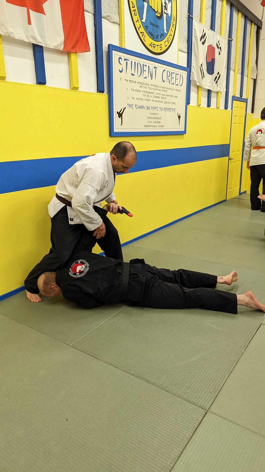 Canadian Jiujitsu Council Technical Seminar October 2024