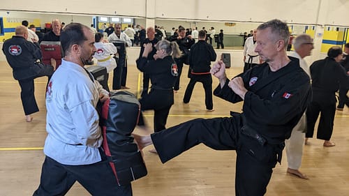 Canadian Jiujitsu Council Technical Seminar